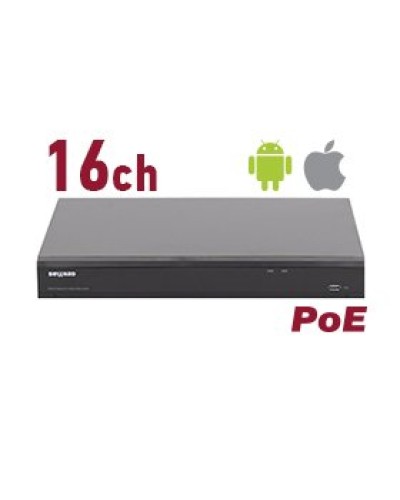 RK2216-P. Видеорегистратор IP 16-канальный. Beward в Ульяновске