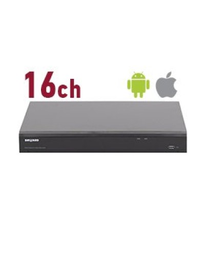 RK2216. Видеорегистратор IP 16-канальный. Beward в Ульяновске