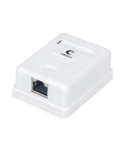 WS-8P8C-Cat.5e-SH-1 (7485c): Розетка RJ-45 в Ульяновске