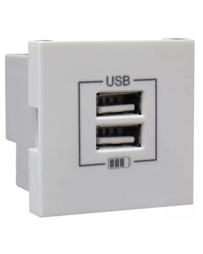 Розетка USB двойная, зарядная, белая (45439 SBR): Розетка USB двойная в Ульяновске