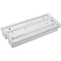 Светильник аварийный ДПА 5042-3 3ч IP65 LIGHTING (LDPA0-5042-3-65-K01). Светильник аварийный универсальный. IEK