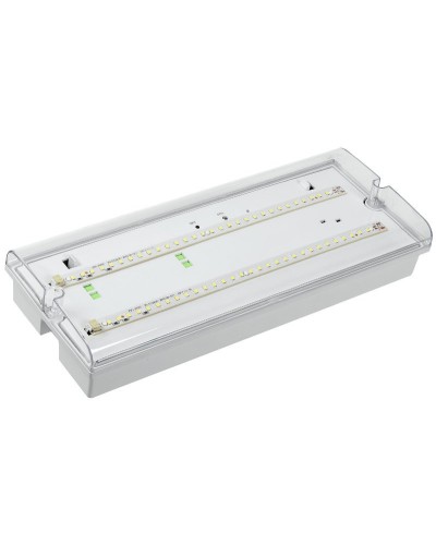 Светильник аварийный ДПА 5042-3 3ч IP65 LIGHTING (LDPA0-5042-3-65-K01). Светильник аварийный универсальный. IEK в Ульяновске