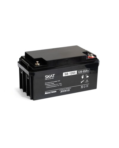SKAT SB 1265 (2541). Аккумулятор герметичный свинцово-кислотный. Бастион в Ульяновске