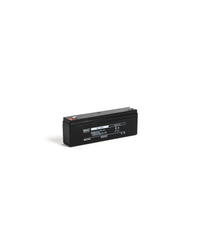SKAT SB 12022 (2539). Аккумулятор герметичный свинцово-кислотный. Бастион в Ульяновске