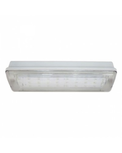 SL-213-30LED1.8 исп.1 IP54. Светильник аварийного освещения. ИП Раченков А.В. в Ульяновске
