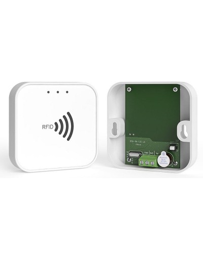 RFID-TM. Считыватель RFID. Ритм в Ульяновске