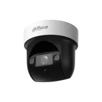 DH-SD29204DB-GNY. Профессиональная видеокамера IP поворотная. Dahua