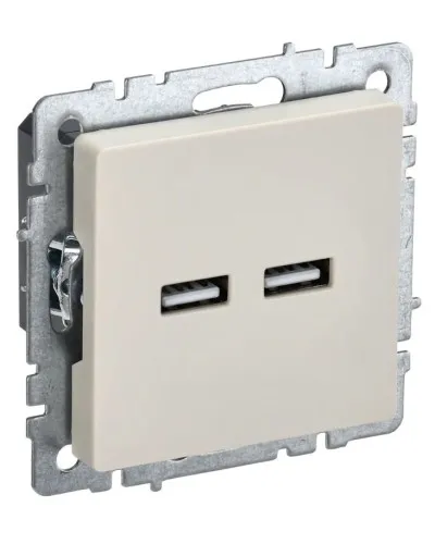 Розетка USB A+A 3,1А РЮ10-1-БрКр бежевый BRITE (BR-U21-D31-K10). Розетка USB. IEK в Ульяновске