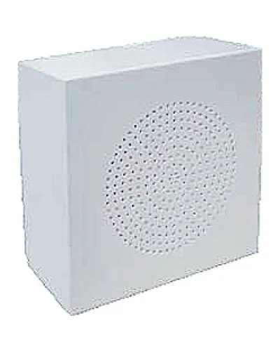 WS-06T. Громкоговоритель настенный. ROXTON в Ульяновске