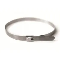 Хомут из нержавеющей стали AISI 304 8х350 (30 шт) (27413): Хомут из нержавеющей стали